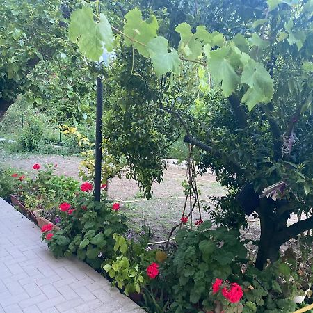 Proprieta Intero Allogio Con Parcheggio Villa Sestri Levante Kültér fotó
